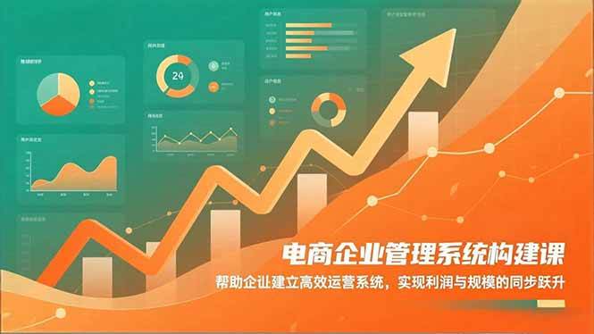 (16643期)电商企业管理系统构建课:帮助企业建立高效运营系统,实现利润与规模的同步跃升-来友网创