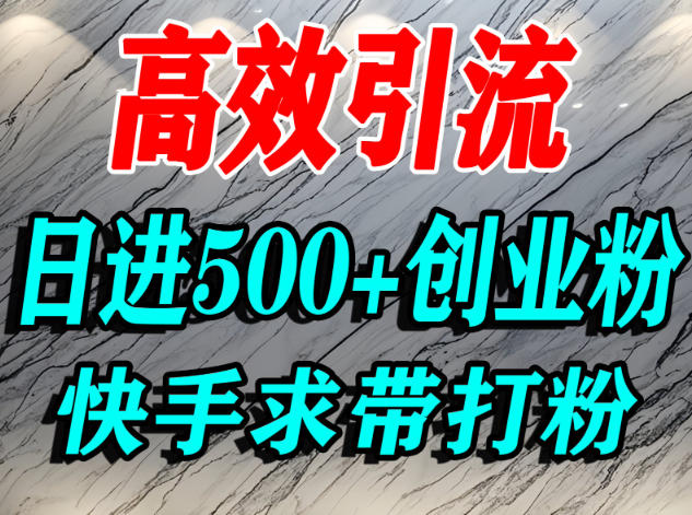 怎么打创业粉?快手求带视角精准引流创业粉,宝妈、学生群体日进500+精准流量-来友网创
