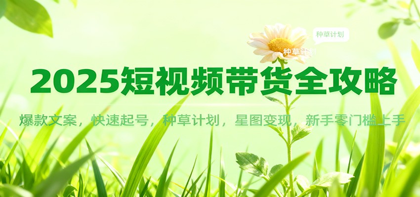 2025短视频带货全攻略:爆款文案,快速起号,种草计划,星图变现,新手零门槛上手-来友网创