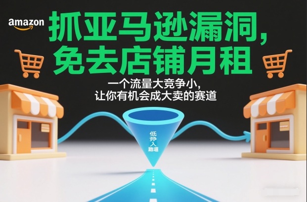 抓亚马逊漏洞,免去店铺月租,一个流量大竞争小,让你有机会成大卖的赛道-来友网创