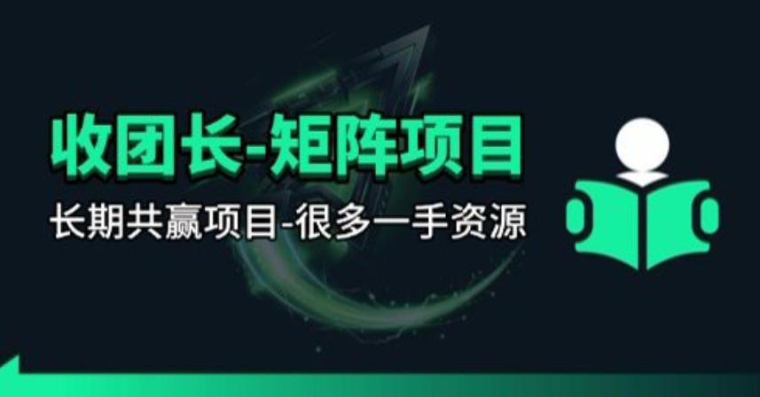 【团长合作】视频矩阵项目_招发手矩阵+剪辑师,共赢项目【揭秘】-来友网创