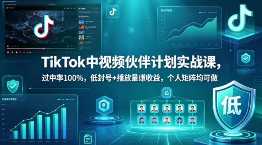 TikTok中视频伙伴计划实战课,过中率100%,低封号+播放量賺收益,个人矩阵均可做-来友网创