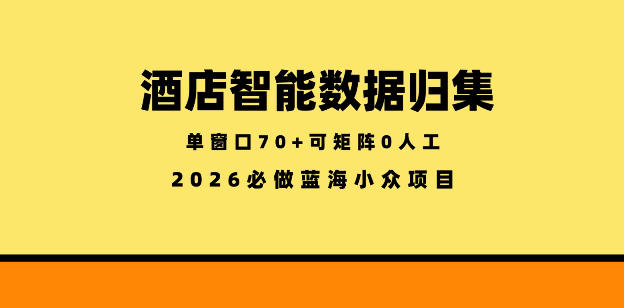 酒店智能数据归集,小众蓝海已经稳定半年之久,单窗口70+零成本矩阵开干【揭秘】-来友网创