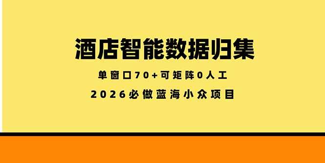 (18500期)酒店智能数据归集,小众蓝海已经稳定半年之久,单窗口70+零成本矩阵开干-来友网创