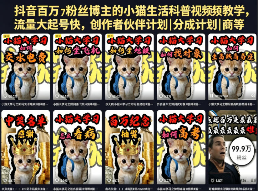 抖音百万粉丝博主的小猫生活科普视频教学,流量大起号快,创作者伙伴计划|分成计划|商单|收徒等-来友网创