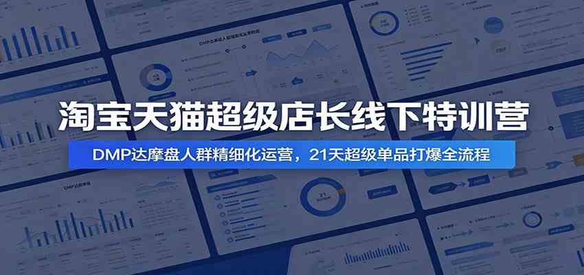 淘宝天猫超级店长线下特训营:DMP达摩盘人群精细化运营,21天超级单品打爆全流程-来友网创