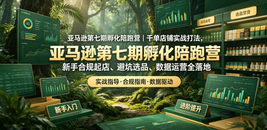 亚马逊孵化陪跑营|千单店铺实战打法,新手合规起店、避坑选品、数据运营全落地(更新0708)-来友网创