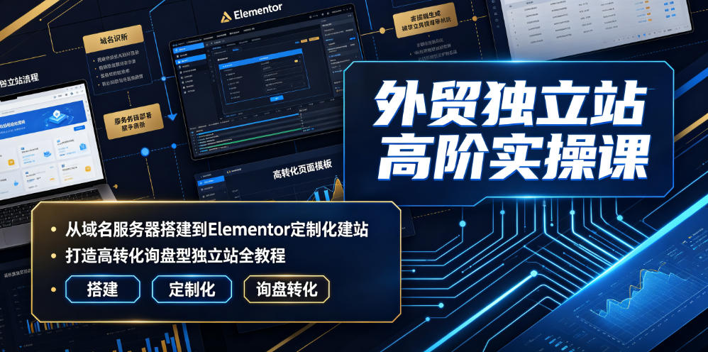 外贸独立站高阶实操课|从域名服务器搭建到Elementor定制化建站,打造高转化询盘型独立站全教程-来友网创
