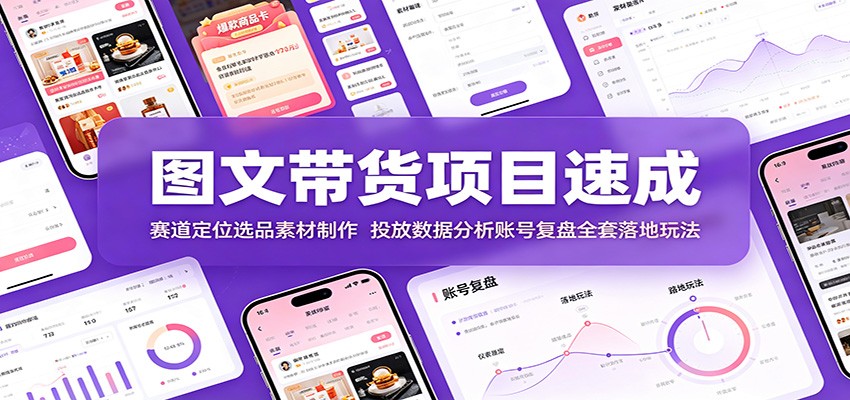 图文带货项目速成:赛道定位选品素材制作,投放数据分析账号复盘全套落地玩法-来友网创