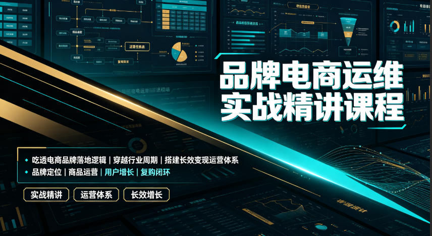 品牌电商运维实战精讲课程|吃透电商品牌落地逻辑、穿越行业周期、搭建长效变现运营体系-来友网创