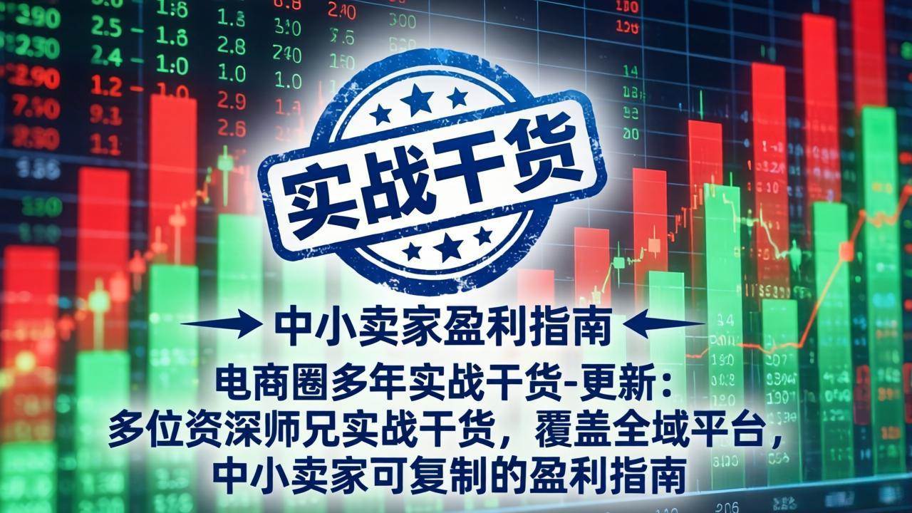 (19761期)电商圈多年实战干货-更新2026:多位资深师兄实战干货/覆盖全域平台,中小卖家可复制的盈利指南-来友网创