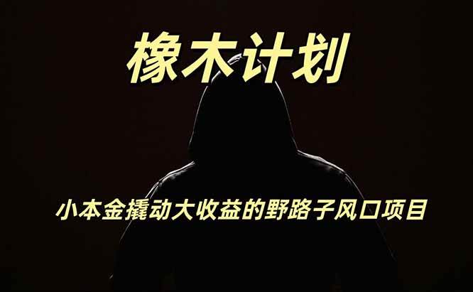 (19789期)橡木计划,小投入撬动高回报的风口野路子项目,一天投入2小时左右-来友网创