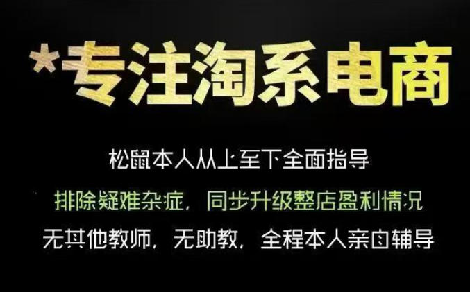 松鼠会电商VIP课程,从基础布局到高阶优化,助你掌握淘宝运营逻辑,提升店铺流量与转化(更新0809)-来友网创