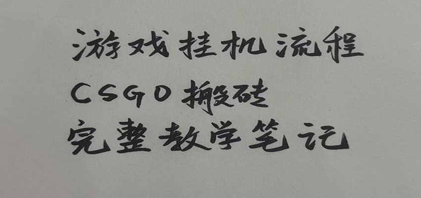 游戏挂机全流程笔记分享,CSGO游戏搬砖,小白看了当天学会见收益-来友网创
