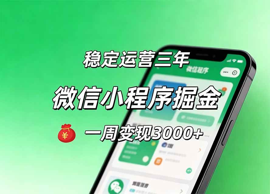 (20077期)月收益稳定1W+的微信小程序,前期积累客户,后期躺平养老,小白轻松上手-来友网创