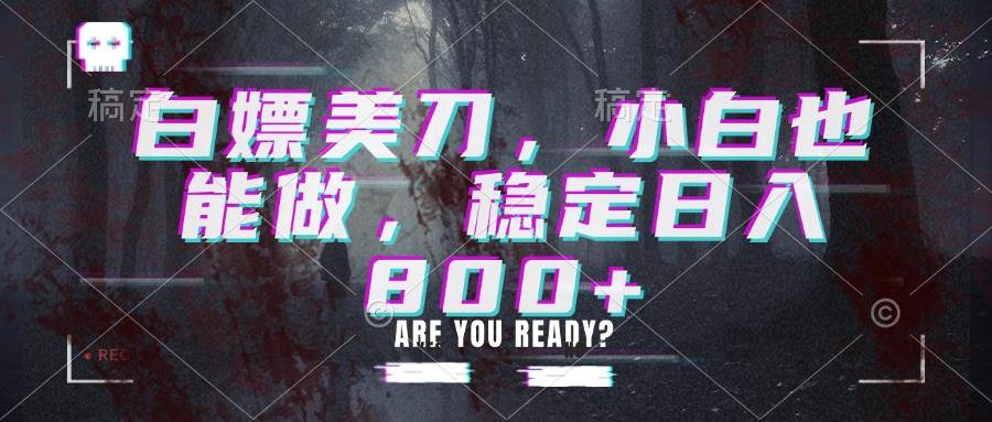 (20163期)白嫖美刀,小白也能做,稳定日入800+-来友网创