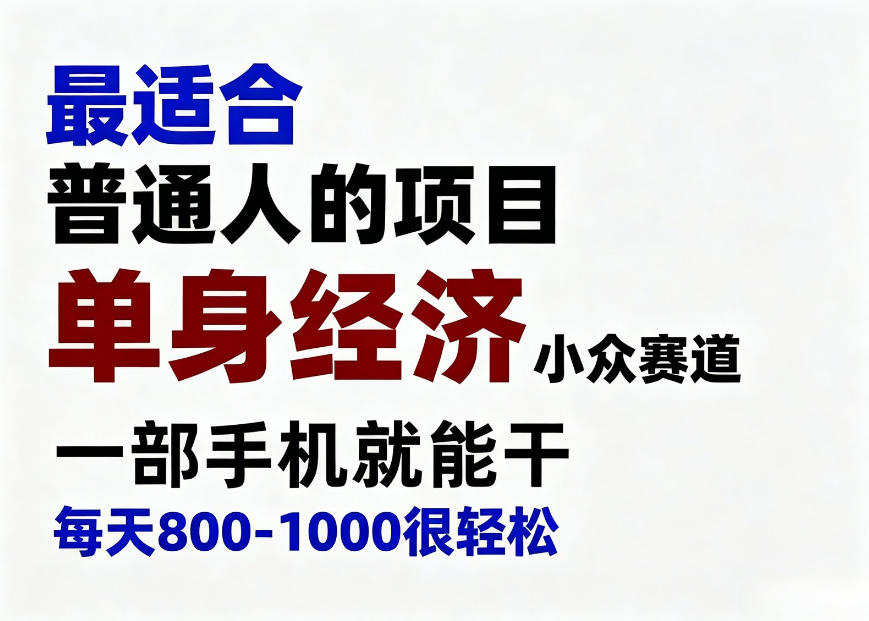 身经济小众赛道,一部手机就能干,每天搞个800-1000很轻松,最适合普通人的项目【揭秘】-来友网创