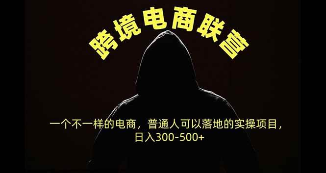 (20702期)跨境电商联营,一个不一样的电商,普通人可操作日入300-500+-来友网创