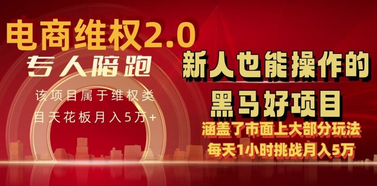 电商维权 4.0 如何做到月入 5 万+每天 1 小时新人也能快速上手【仅揭秘】-来友网创