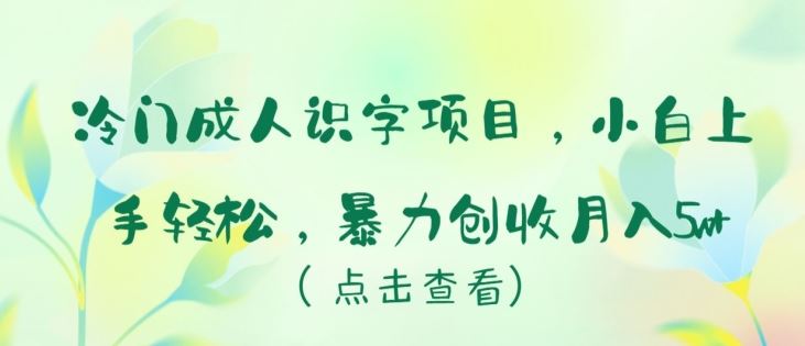 冷门成人识字项目，小白上手轻松，暴力创收月入5w+【揭秘】-来友网创