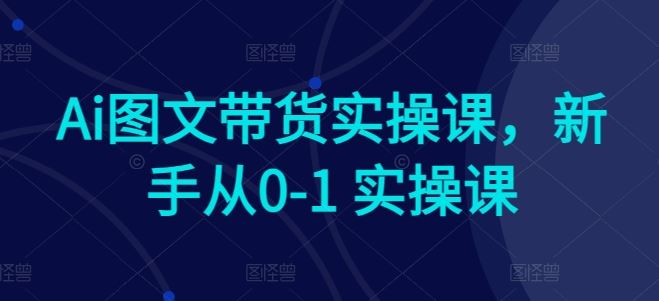 Ai图文带货实操课，新手从0-1 实操课-来友网创