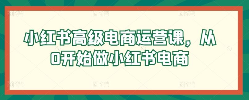 小红书高级电商运营课，从0开始做小红书电商-来友网创