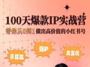 小红书100天爆款IP实战营，带你从0到1做出高价值的小红书号-来友网创