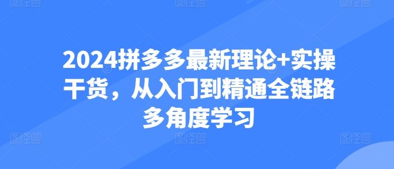 2024拼多多最新理论+实操干货，从入门到精通全链路多角度学习-来友网创