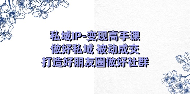 私域IP变现高手课：做好私域被动成交，打造好朋友圈做好社群（18节）-来友网创