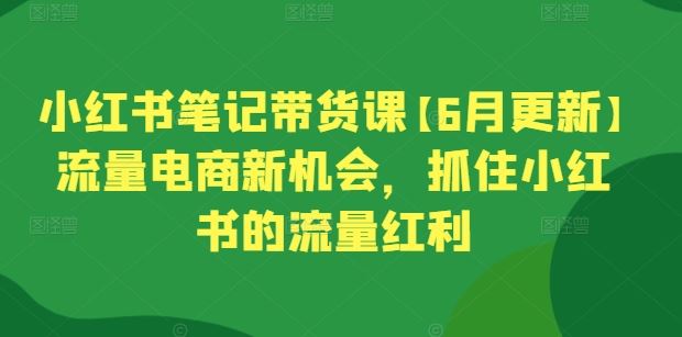 小红书笔记带货课【6月更新】流量电商新机会，抓住小红书的流量红利-来友网创