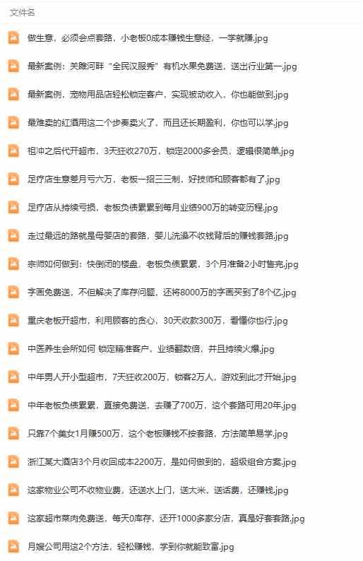 图片[5]-（9607期）真实有效391套商业模式，年入几十到几百万案例解析（电子书+视频+图文）-来友网创