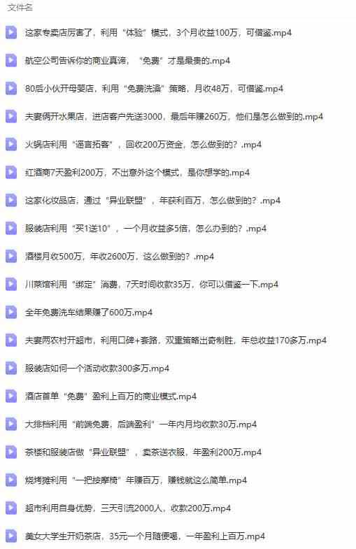 图片[8]-（9607期）真实有效391套商业模式，年入几十到几百万案例解析（电子书+视频+图文）-来友网创