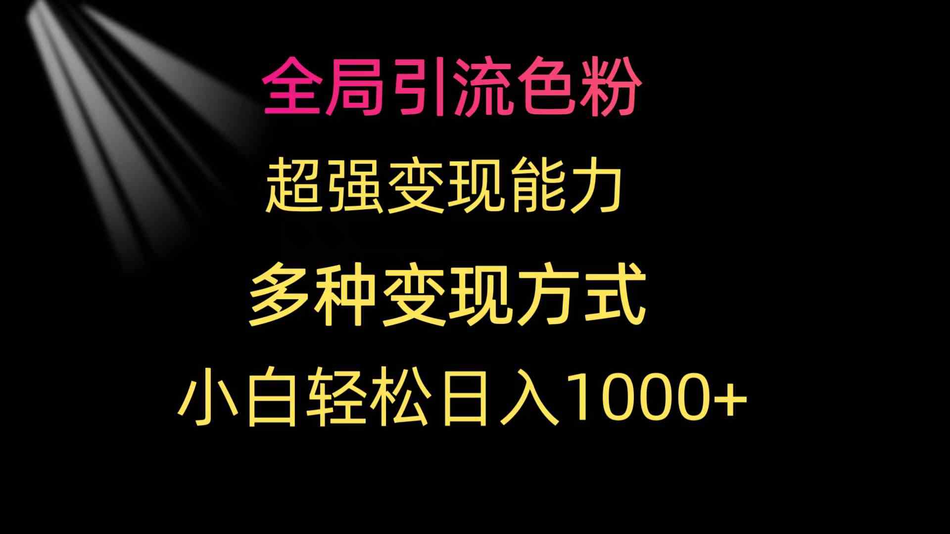 （9680期）全局引流色粉 超强变现能力 多种变现方式 小白轻松日入1000+-来友网创