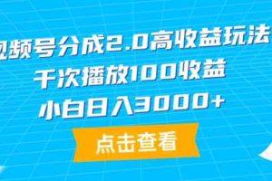（9716期）视频号分成2.0高收益玩法，千次播放100收益，小白日入3000+-来友网创