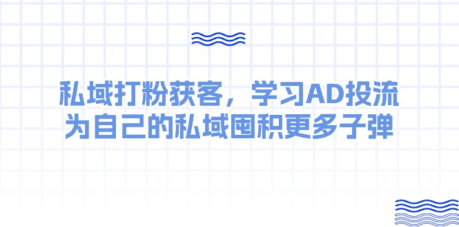 （10728期）某收费课：私域打粉获客，学习AD投流，为自己的私域囤积更多子弹-来友网创