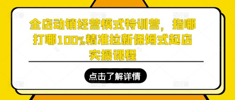 全店动销经营模式特训营，指哪打哪100%精准拉新保姆式起店实操课程-来友网创