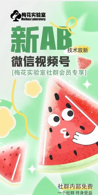 梅花实验室2024年AB技术视频号AB合成破解版-来友网创