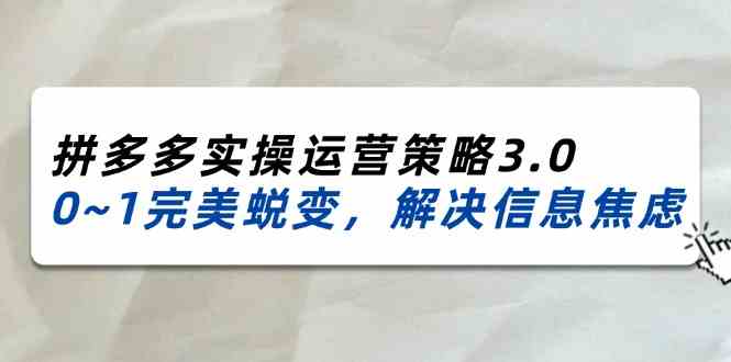 2024-2025拼多多实操运营策略3.0，0~1完美蜕变，解决信息焦虑（38节）-来友网创