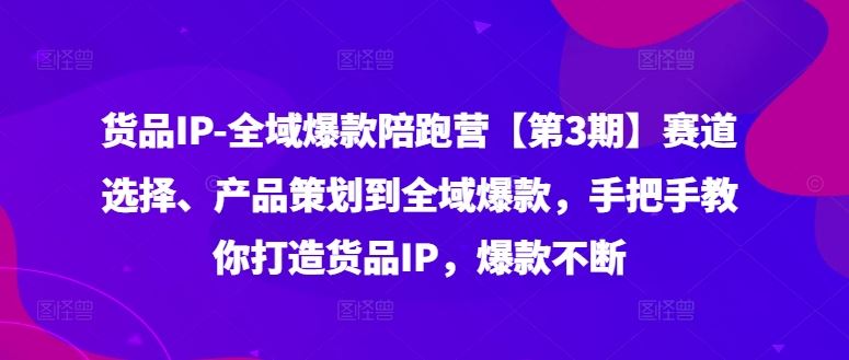 货品IP全域爆款陪跑营【第3期】赛道选择、产品策划到全域爆款，手把手教你打造货品IP，爆款不断-来友网创