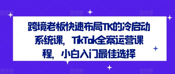 跨境老板快速布局TK的冷启动系统课，TikTok全案运营课程，小白入门最佳选择-来友网创