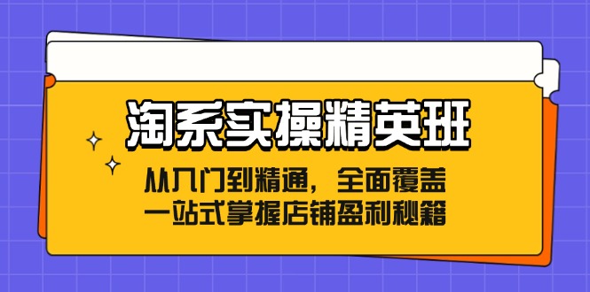 （12276期）淘系实操精英班：从入门到精通，全面覆盖，一站式掌握店铺盈利秘籍-来友网创
