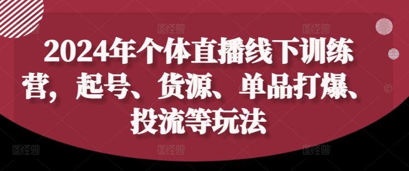 2024年个体直播训练营，起号、货源、单品打爆、投流等玩法-来友网创