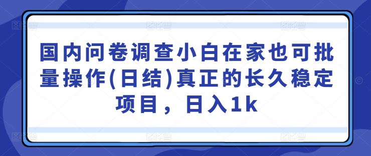 国内问卷调查小白在家也可批量操作(日结)真正的长久稳定项目，日入1k【揭秘】-来友网创
