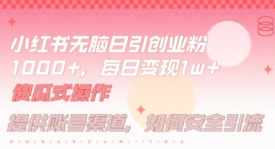 小红书无脑每日引流创业粉500+，小白每天只花半小时，躺赚长尾收益【揭秘】-来友网创