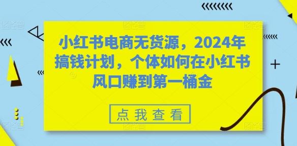 小红书电商无货源，2024年搞钱计划，个体如何在小红书风口赚到第一桶金-来友网创