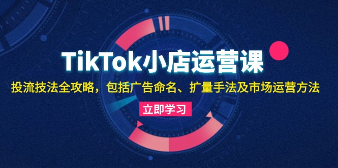 （13063期）TikTok小店运营课：投流技法全攻略，包括广告命名 扩量手法及市场运营方法-来友网创