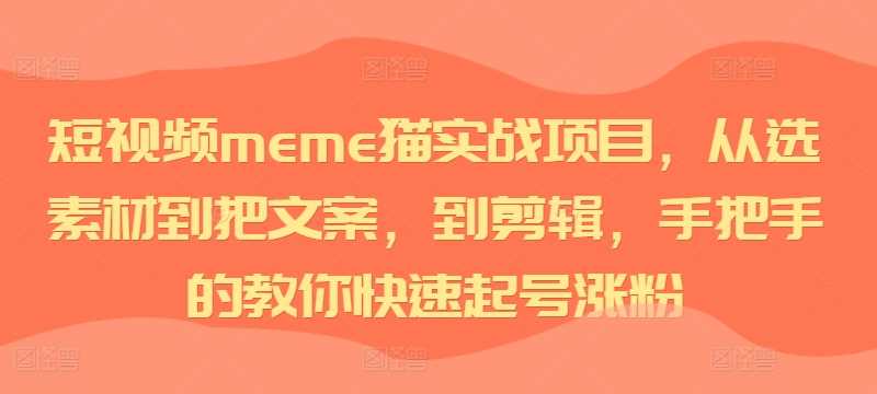 短视频meme猫实战项目，从选素材到把文案，到剪辑，手把手的教你快速起号涨粉-来友网创