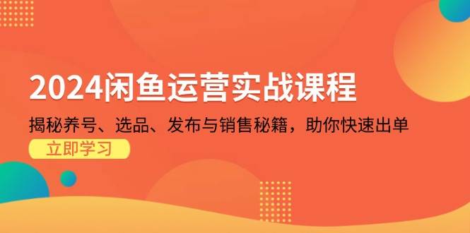 （13290期）2024闲鱼运营实战课程：揭秘养号、选品、发布与销售秘籍，助你快速出单-来友网创