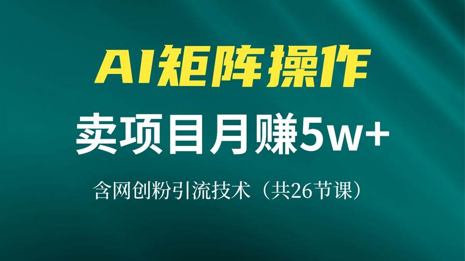 （13335期）网创IP打造课，借助AI卖项目月赚5万+，含引流技术（共26节课）-来友网创