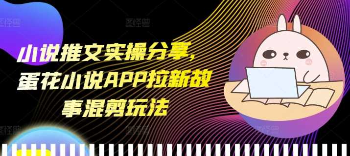 小说推文实操分享，蛋花小说APP拉新故事混剪玩法-来友网创